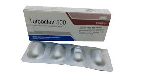 Turboclav 500